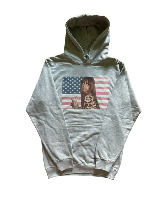 PINK USA Hoodie regular