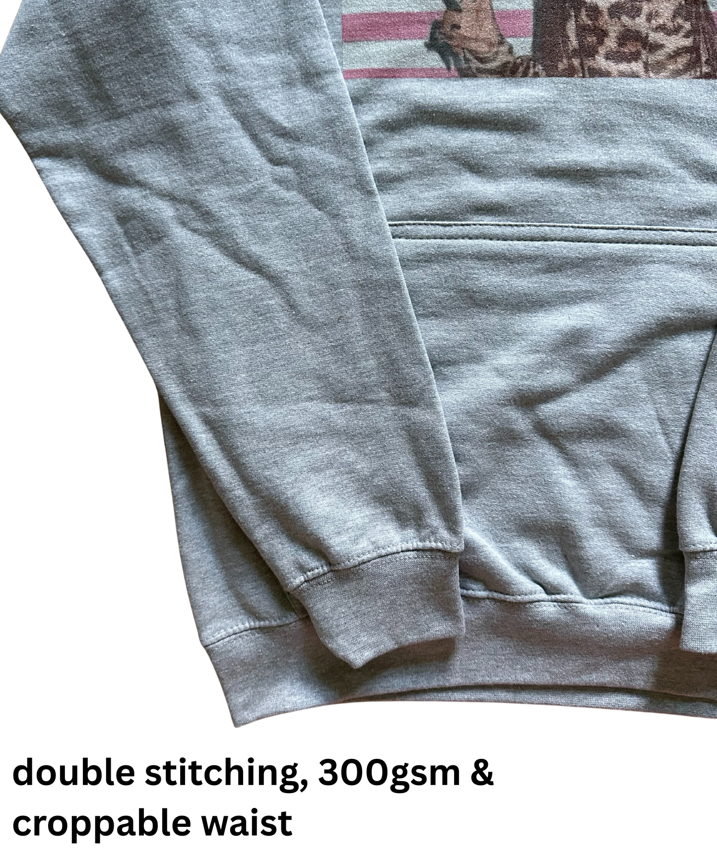 PINK USA Hoodie regular